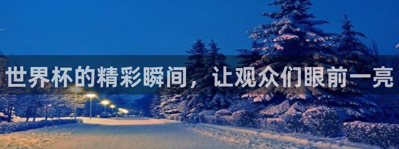 世界杯比赛赛程:世界杯的精彩瞬间,让观众们眼前一亮
