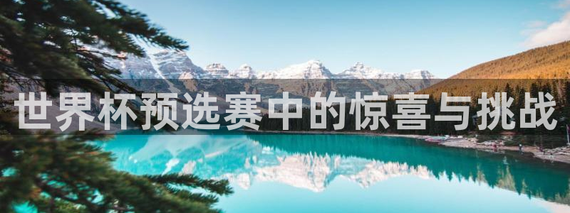 2026年世界杯赛程:世界杯预选赛中的惊喜与挑战