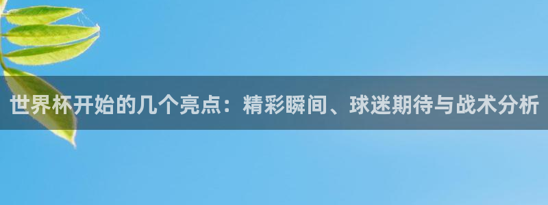 世界杯女足直播:世界杯开始的几个亮点:精彩瞬间、球迷期待与战术分析
