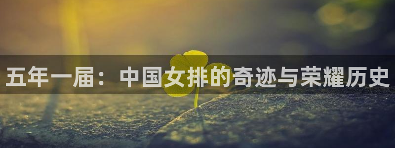 预选赛世界杯:五年一届:中国女排的奇迹与荣耀历史