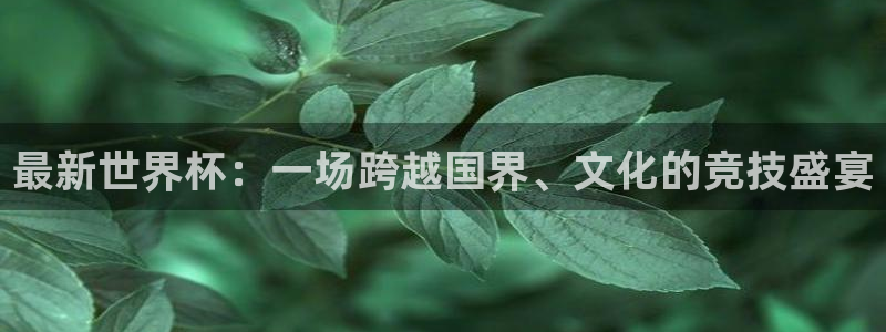 世界杯48支球队赛制:最新世界杯:一场跨越国界、文化的竞技盛宴