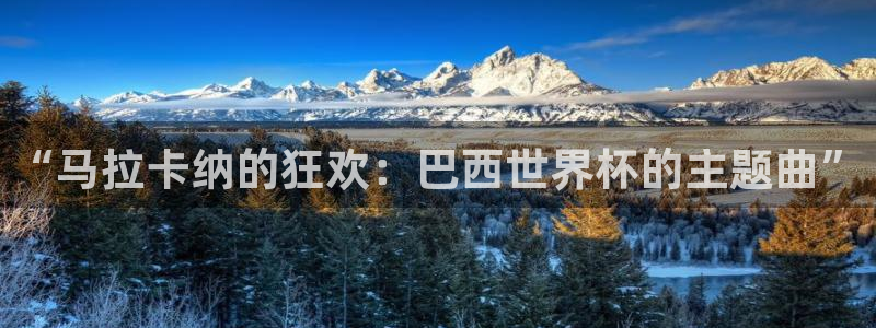世界杯 中国:“马拉卡纳的狂欢:巴西世界杯的主题曲”